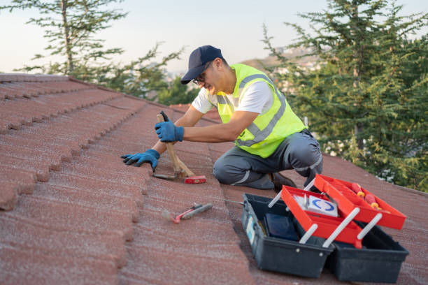 Best Roof Gutter Cleaning  in Dyer, IN